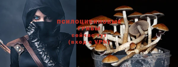 ALPHA-PVP Арсеньев
