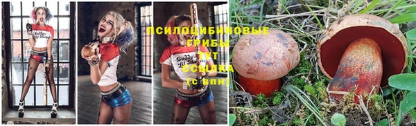 ALPHA-PVP Арсеньев